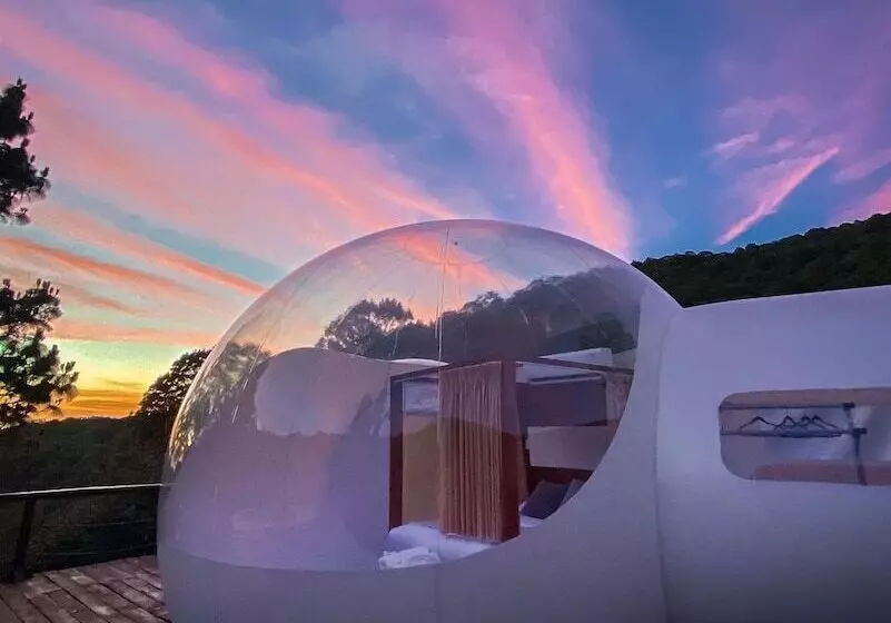 カプセルホテル La Estela Bubble Glamping