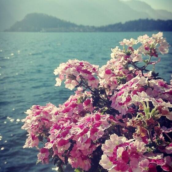 Отель Alberghetto La Marianna