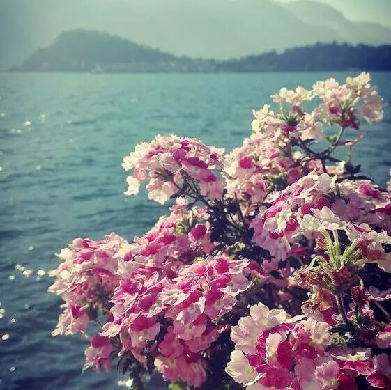 Отель Alberghetto La Marianna