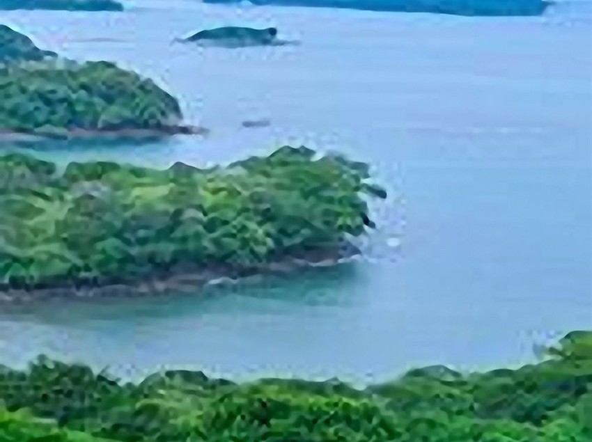 호텔 Cala Mia Boutique