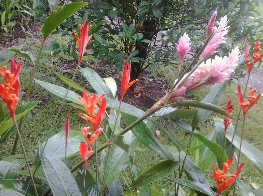 호텔 Cala Mia Boutique