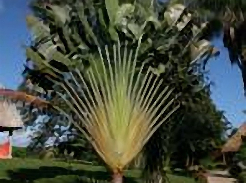 호텔 Cala Mia Boutique