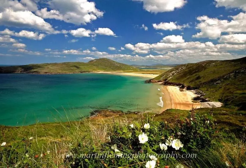 Отель Downings Bay