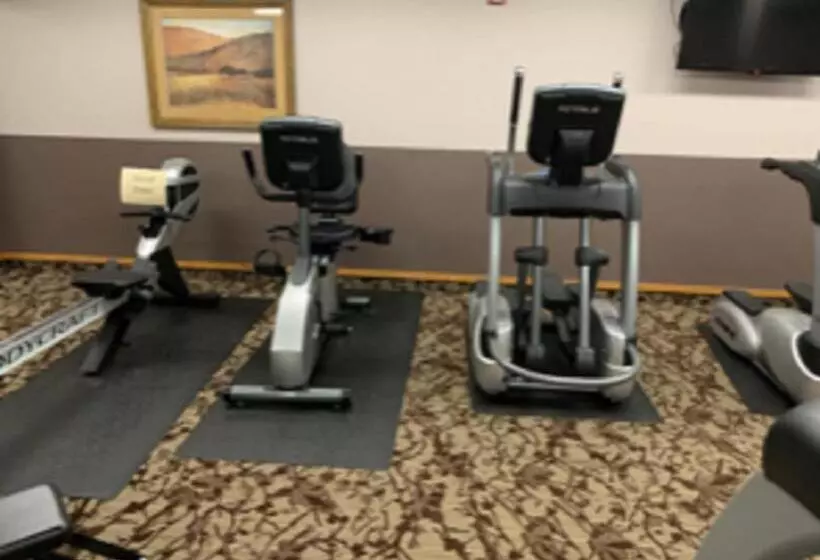 ホテル Morning Star Lodge Hosted By Linda