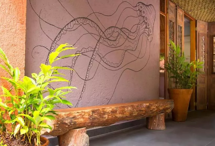 호텔 Pousada Camburi