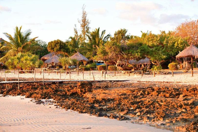 Villas Do Indico Eco   Resort & Spa Lodge