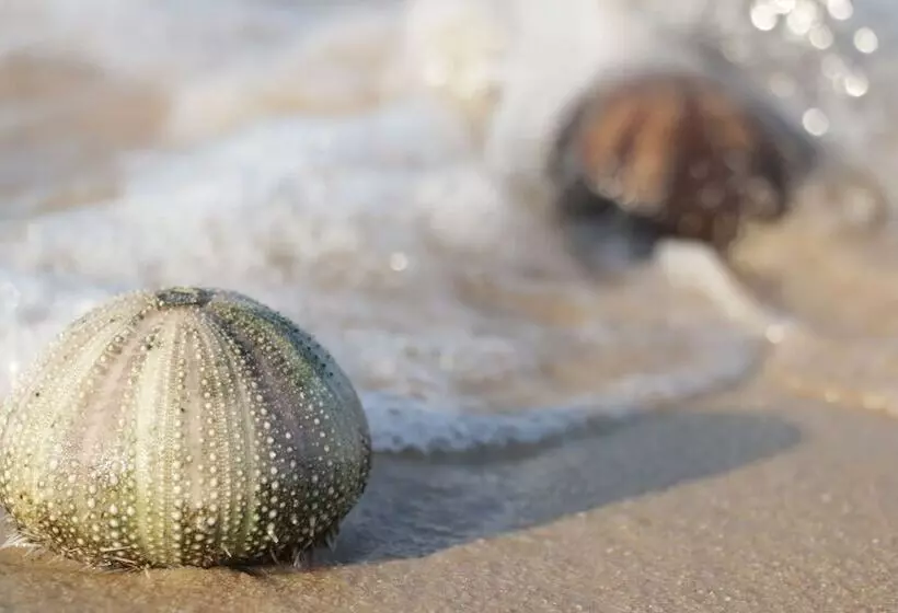 Villas Do Indico Eco   Resort & Spa Lodge