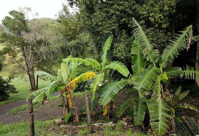 مبيت وإفطار Weary Travellers Short Stop