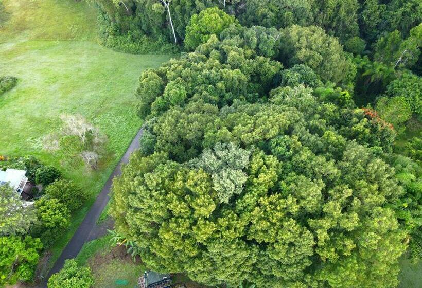 مبيت وإفطار Weary Travellers Short Stop