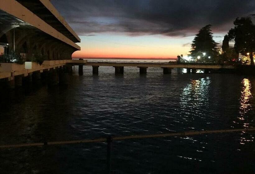 پانسیون гавань