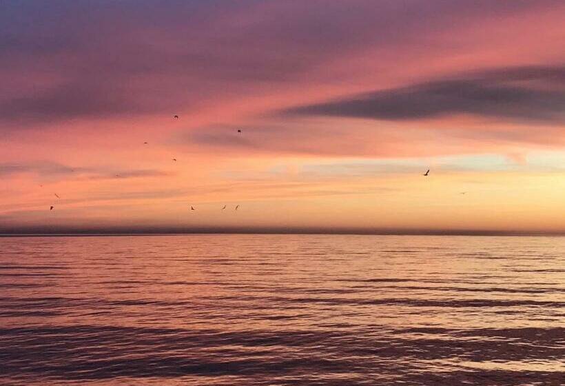 پانسیون гавань