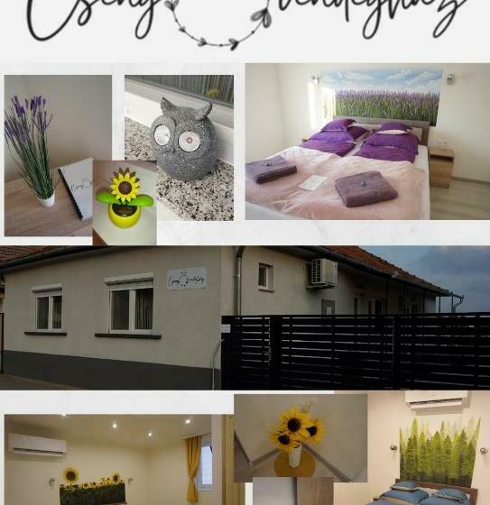 بنسيون Csengő Vendégház