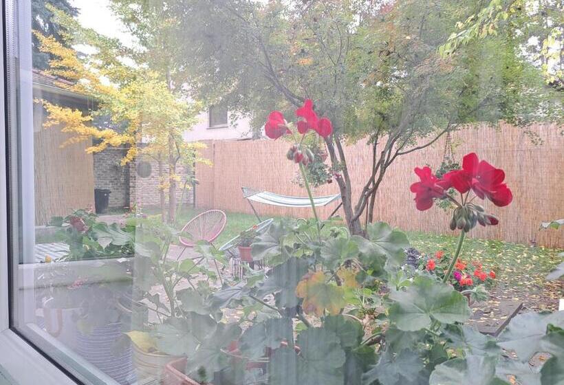 پانسیون Sunset