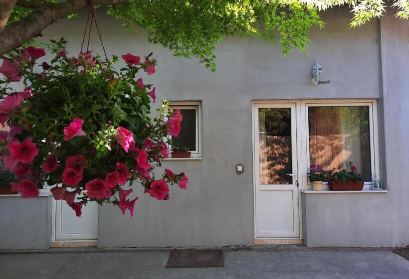 پانسیون Sunset