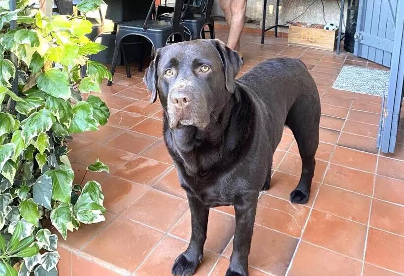 ベッドアンドブレックファースト Le Mas De San Lou