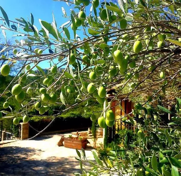 ベッドアンドブレックファースト Le Mas De San Lou