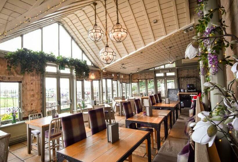 Hotel The Meadowpark Bar, Kitchen & Rooms