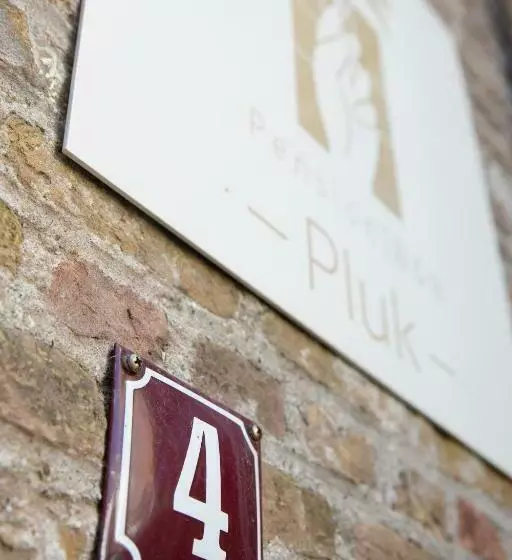 Pension B&b Pluk