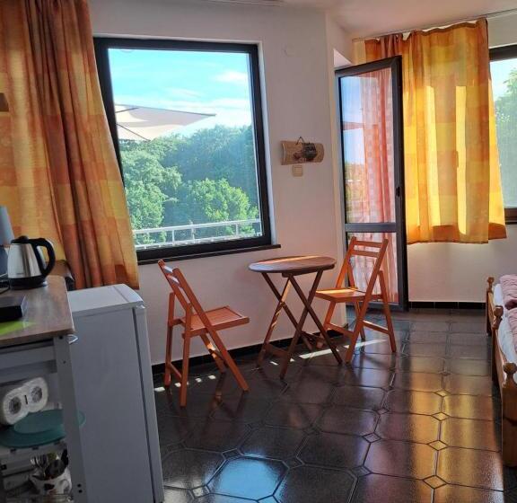 بنسيون двойна стая вила фани