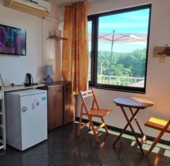 بنسيون двойна стая вила фани