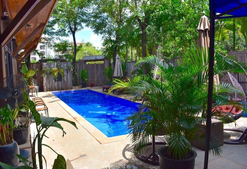 Pension Three Little Birds