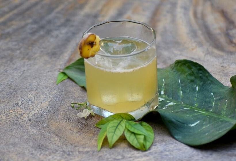 Pension Three Little Birds