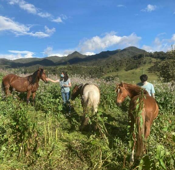 Bed & Breakfast Cabañas El Abuelo