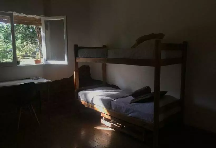 ベッドアンドブレックファースト Galpón Creativo Ecohostel