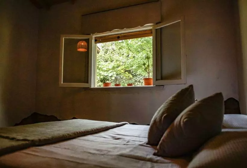 ベッドアンドブレックファースト Galpón Creativo Ecohostel