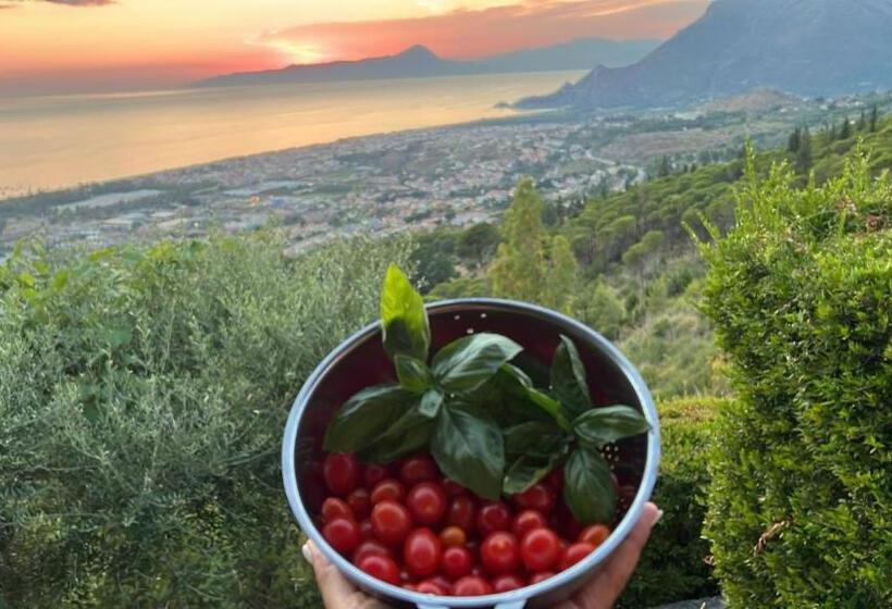 Отель Agriturismo Nappi   Azienda Agricola Piano Delle Vigne