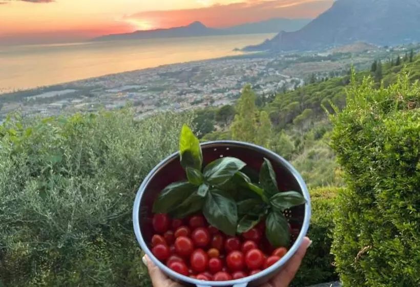 ホテル Agriturismo Nappi Azienda Agricola Piano Delle Vigne