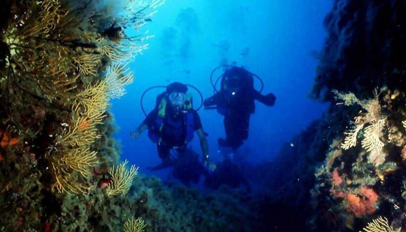 Отель Agriturismo Nappi   Azienda Agricola Piano Delle Vigne