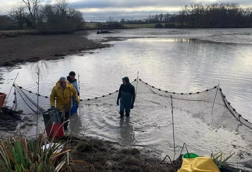 Aamiaismajoitus (B&B) Chambres D Hôte à La Ferme Des Buttons, Chambre Iris