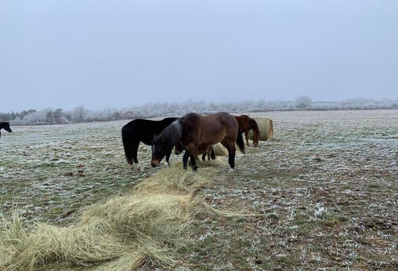 مبيت وإفطار Chambres D Hôte à La Ferme Des Buttons, Chambre Iris