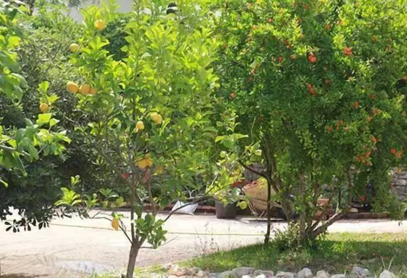 Damaskis Kassiopi Studios