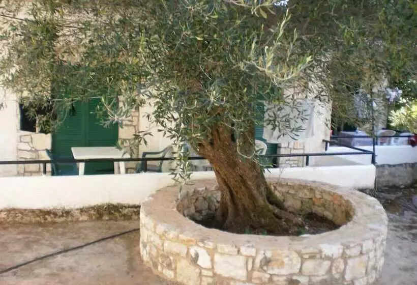 Damaskis Kassiopi Studios