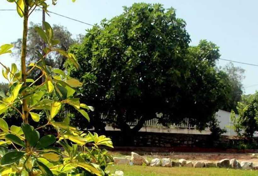 Damaskis Kassiopi Studios