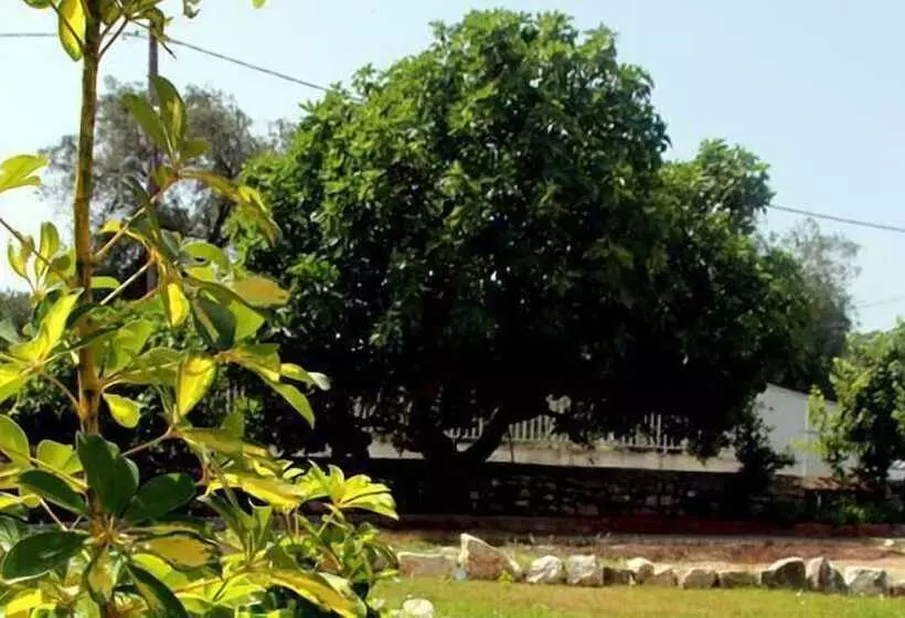 Damaskis Kassiopi Studios