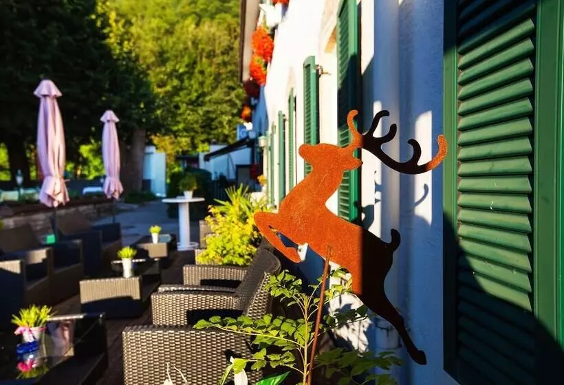 酒店 Apartment Das Au Gut