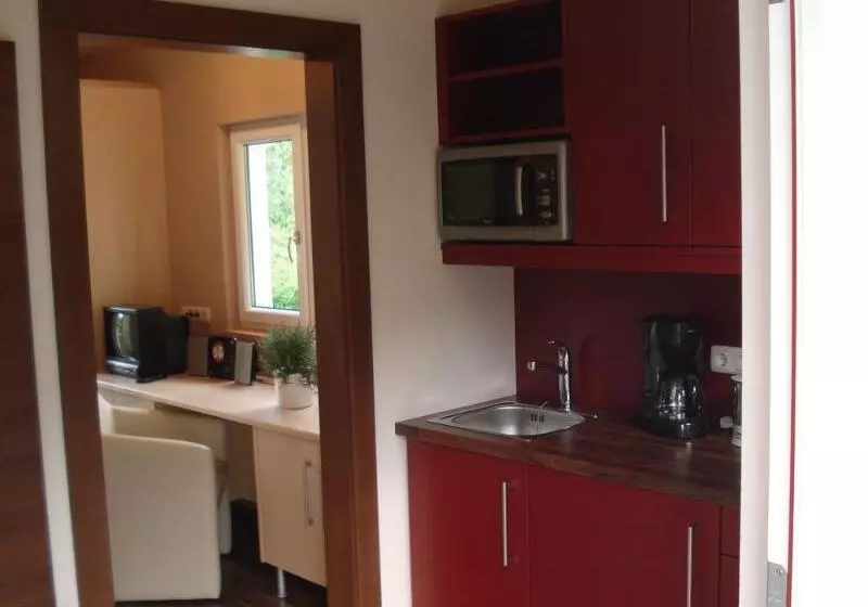 酒店 Apartment Das Au Gut