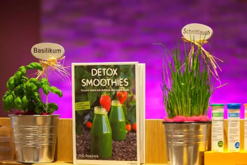 酒店 Apartment Das Au Gut