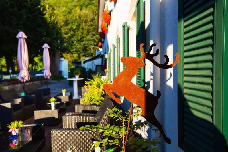 酒店 Apartment Das Au Gut