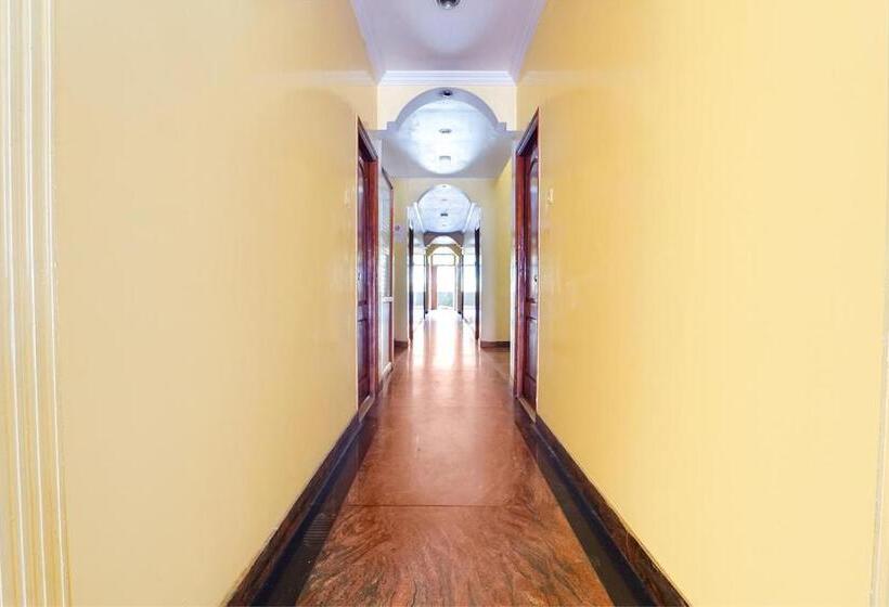 Отель Orchid Inn