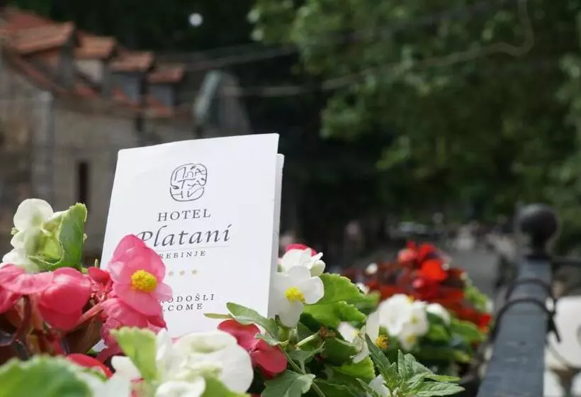 هتل Platani