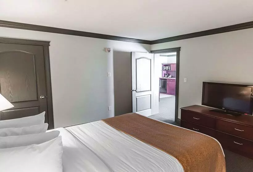 Velora Hinton, Ascend Hotel Collection