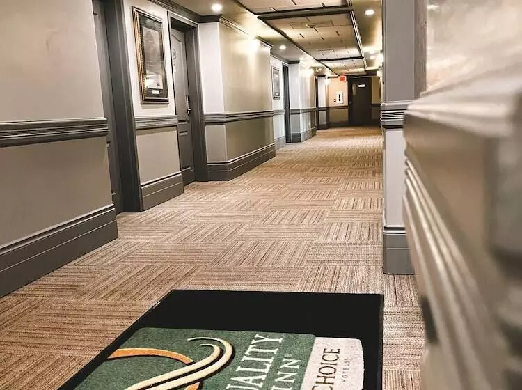 Velora Hinton, Ascend Hotel Collection