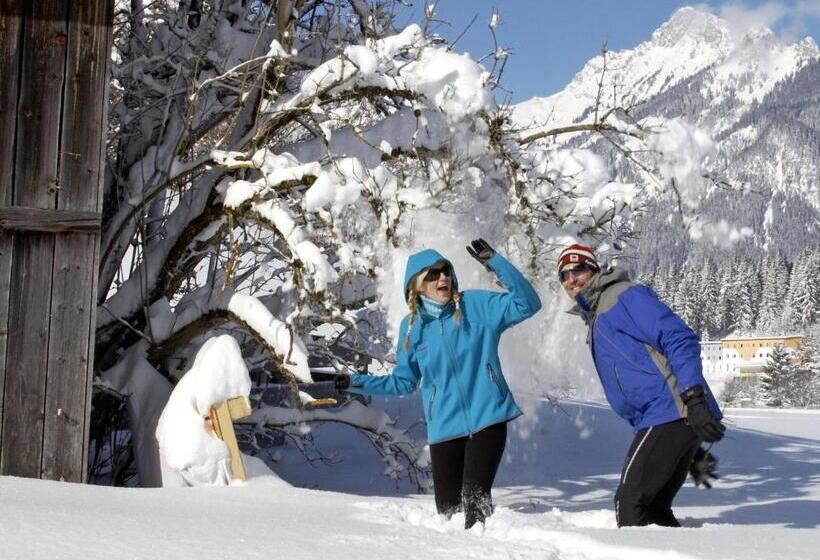 田舎風ホテル Goldene Rose