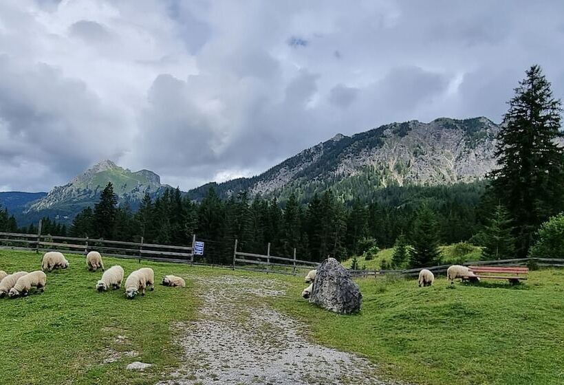 田舎風ホテル Goldene Rose