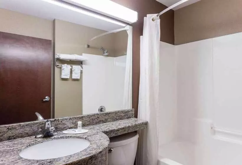 Microtel Inn & Suites By Wyndham Macon