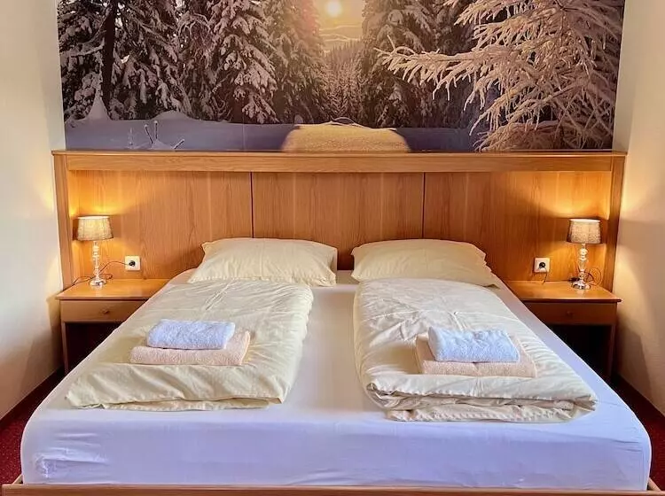 ホテル Pension Lambrecht